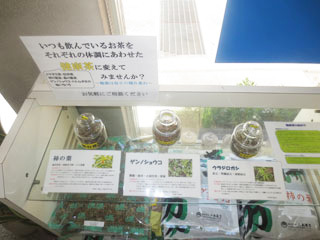 健康茶